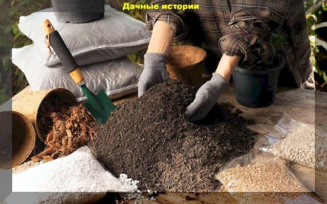 Как выбрать идеальный рассадный грунт: 10 часто задаваемых вопросов