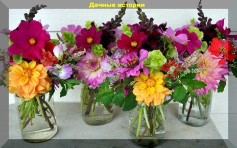 Как сохранить свежесть букета: советы на 8 Марта и не только