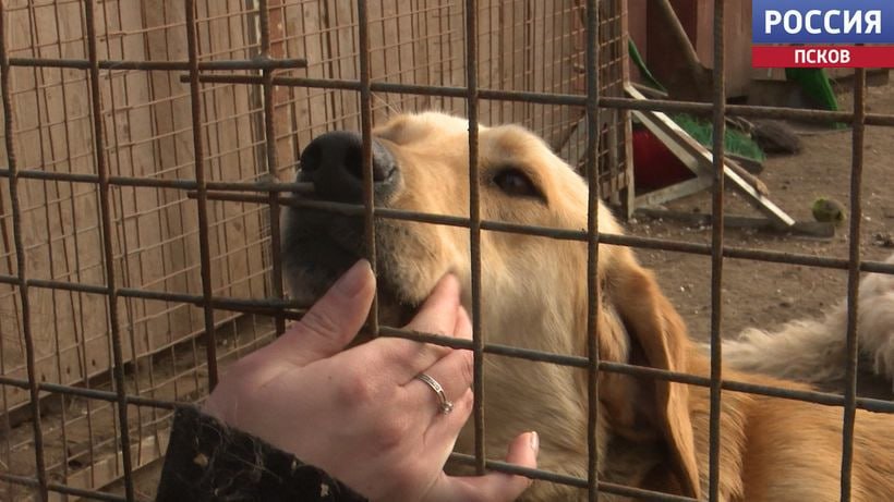 Кино, литература и добрые дела: Псковский молодежный центр опубликовал афишу на март