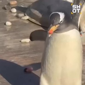 � ���������� ������� �������� � ������ � ������ �����