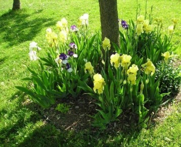 ��� ������� �������� ��� ������� ��� ��������� ��������� � ����