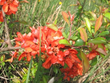 ���������: ����������� ����������� � ������ �������� ������