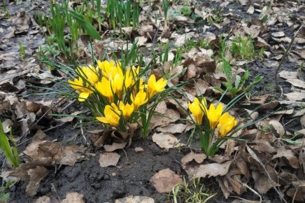 ������: � ��������� ������� ������� ������������� ������!