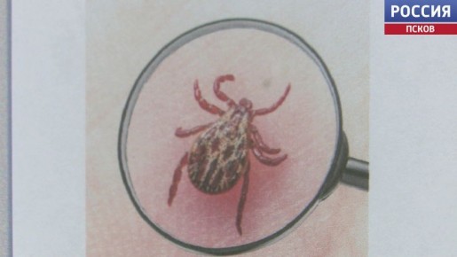 � ��������� ������� ������������ ����� ���������� ������