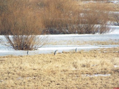 ����� ��������� � �������������