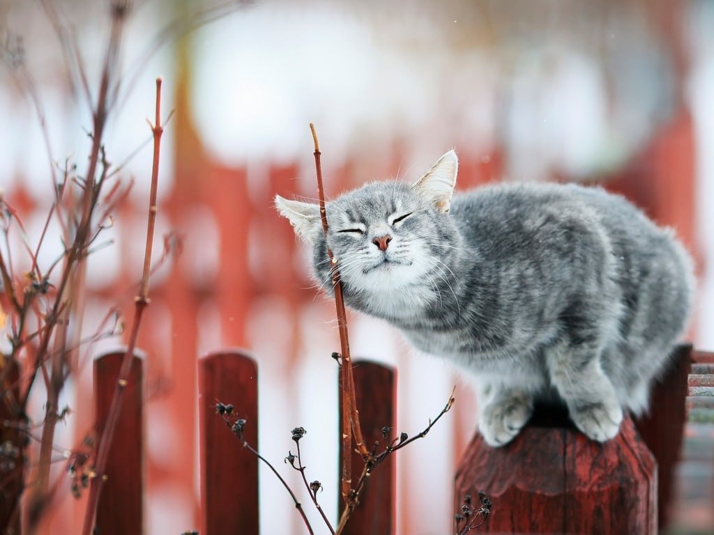 Доброе утро, друзья! Делимся прогнозом погоды на 15 марта для Псковской области: