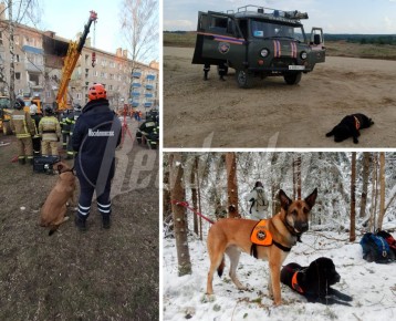 ���������� ��������� ������ ��������� �������� �� 50 ��� � �����