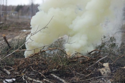 Пожароопасный сезон объявлен в Псковской области с 27 марта