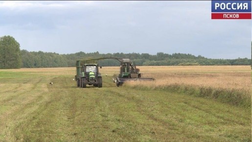 В России заработал центр помощи ветеранам СВО на сельских территориях