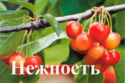 ������ ������� ������������ ����� ����� ��������?