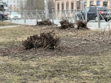 ����� ����� ��������, ������ ������� ����� �� ������� ���������