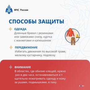 ����� �� �������: ��� �� ����� �� �������?