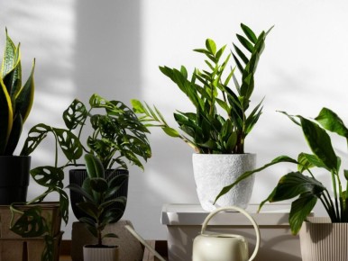 ������������: ������� ��������� ������� �����