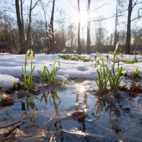 2 ������ ��������� ���:. ���������� ���������� � ������� ��������, ������� ������, �� ��� �����!