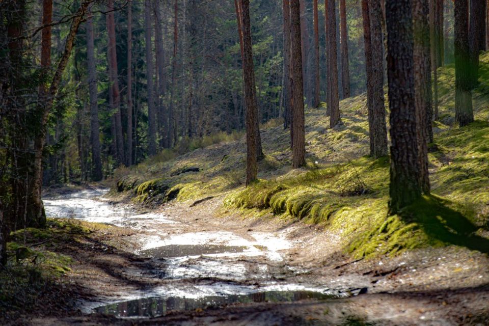 1 ������ � ��������� ������� ��������� ���������� ����������, ��� �������