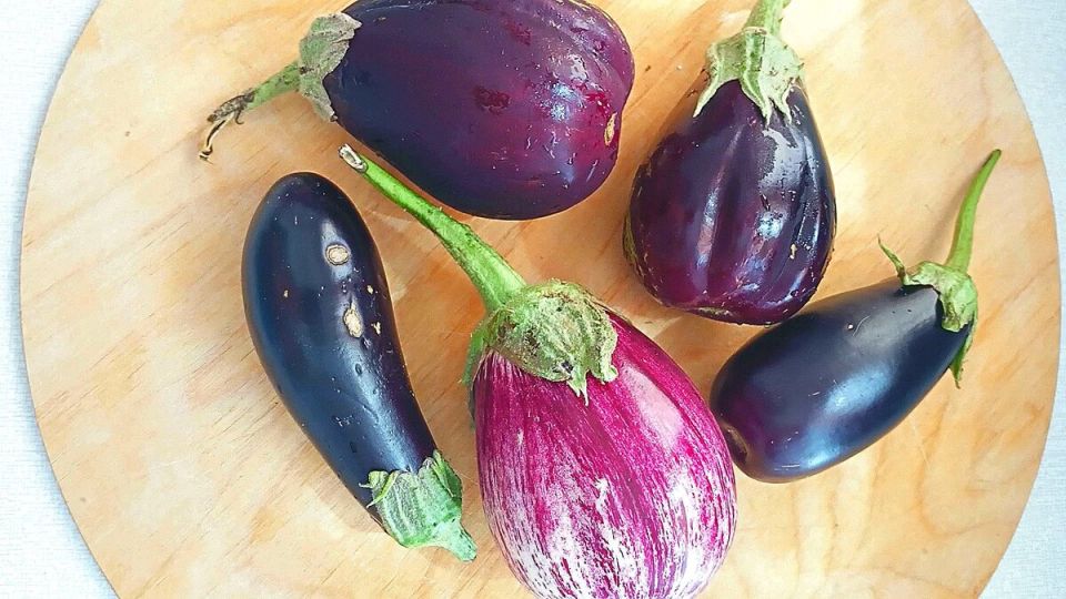 ���������: ������� ���� � ��������