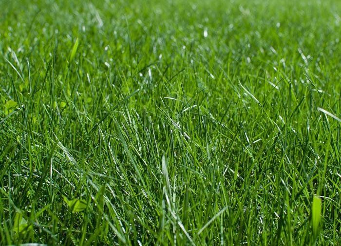 ��� ���� ������ �� ���� �����: ����������� �����������