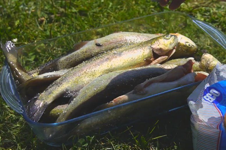 ������ ������� �� ���� �� ������ �������