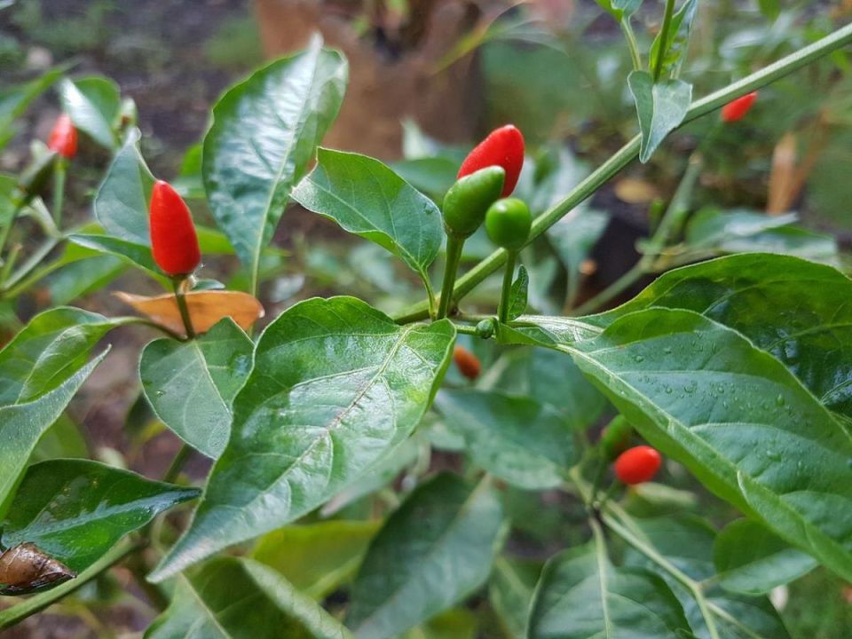 ��� ������, ����� �� �������� ������� ����� �����