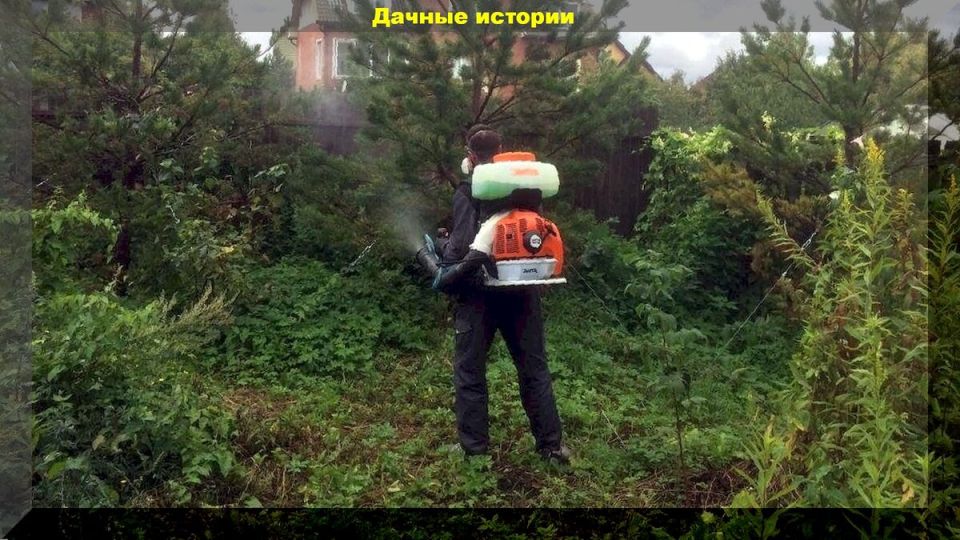 ������� ��������� ����: ��� ���������� �������� �������� �� ���������� � ��������