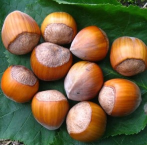 ������: � ��� ����� �����