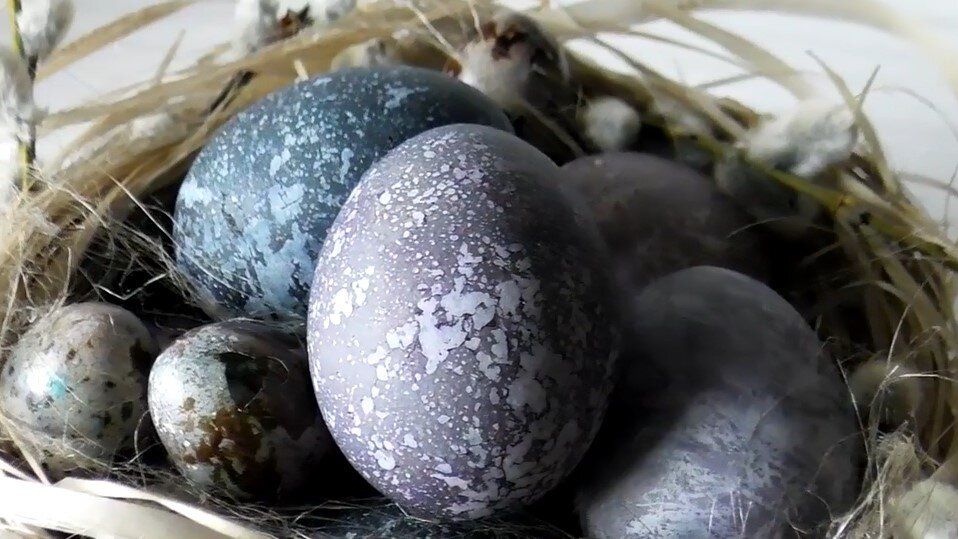 ������ ����� � ������� ��� �������: ��� ������� ��������� ����