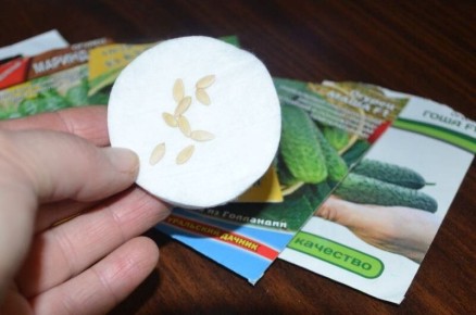 ��� ����� ��������� ������ � ������