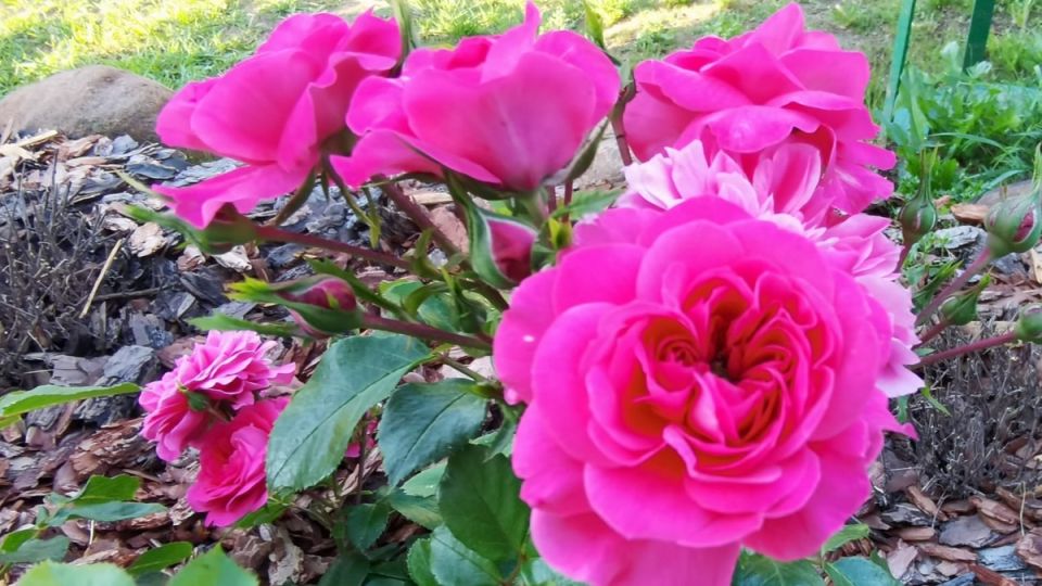 ����� �������� ��������� ���: ��� �������� ������� �������� ��� ������ �� ������� ���������