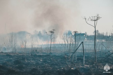 #�����������������. �� �������� �������� ����� �������-������������ ������������� ��������� ������� ����������� �� 12 ����������� ������� �������� 14,701 �� � 2 ����������� ������