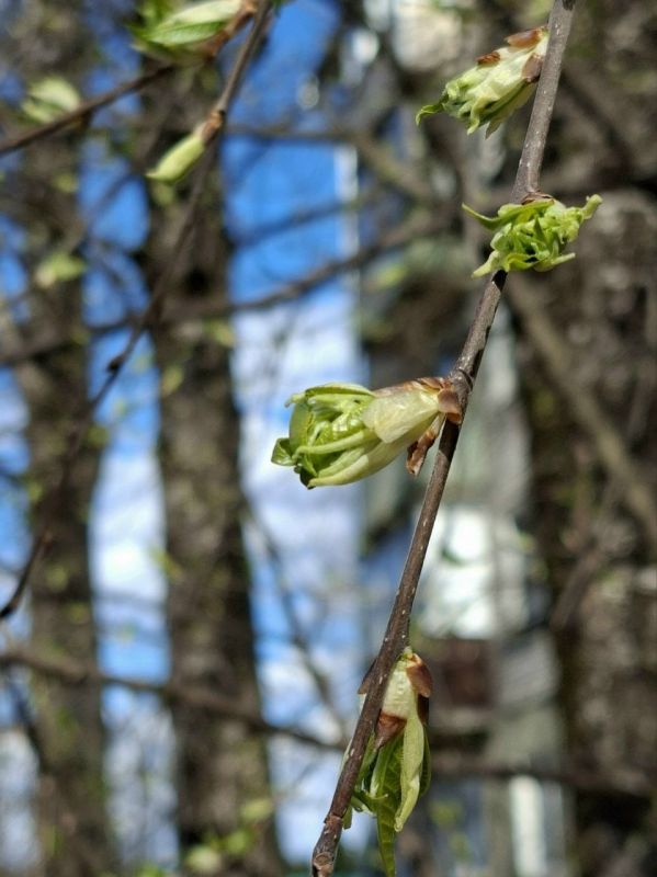 � ��������� ������� 4 ������ ��������� ���������� ����������, ������� ��������� �����