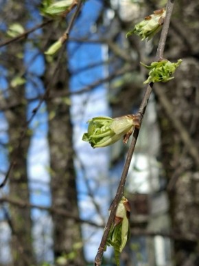 � ��������� ������� 4 ������ ��������� ���������� ����������, ������� ��������� �����