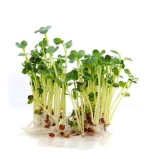 �����������: ��������� ���� �� ����� �������