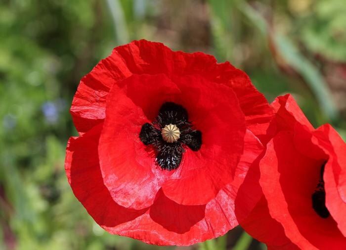 ��� ��������� ������� ���� ��� ������ ����: ��������� ���� �� ������� ������