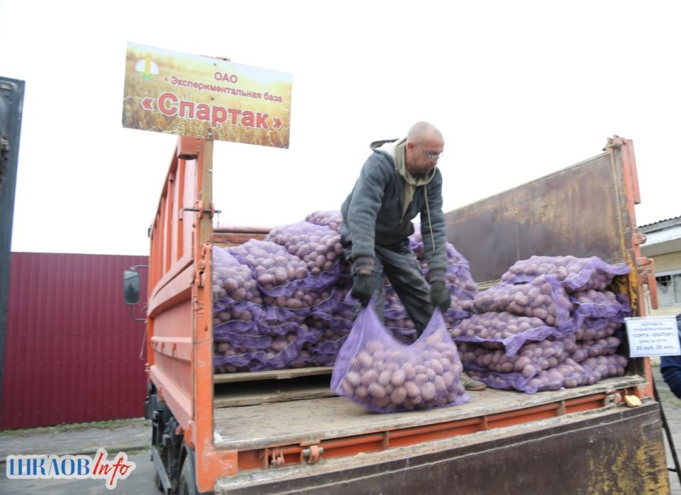 ����������� ������: ��� ��������� ���� �������� �����