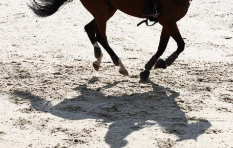 Девять российских всадниц получили нейтральный статус в марте