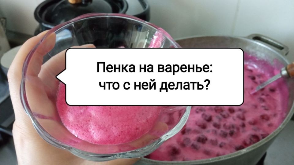 ����� �� �������: ������ � ����� ������� � ��� ������������ � ����