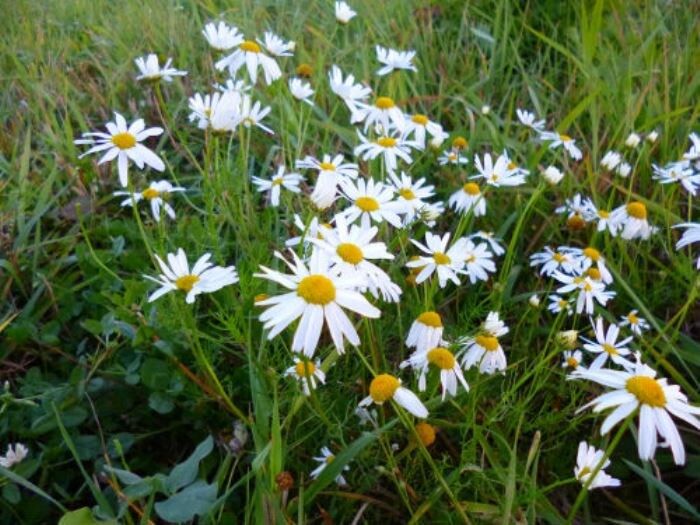 ������ ������� ��������� �� �����, ��� ��� ������