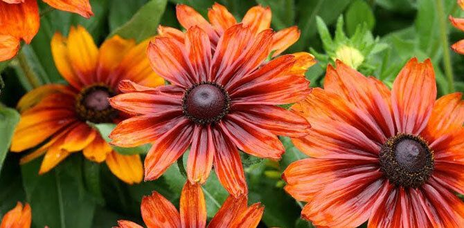 ������� ���: ����� �������� ������� ������� ����� ����������