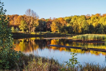 ���������� ��� ����������� �������� ������