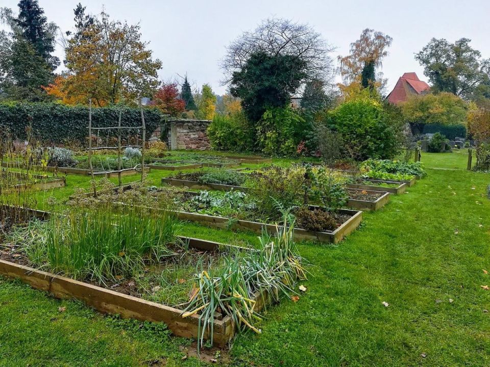 ��� ����� �������� ������� ��� ����� ������� � ��������