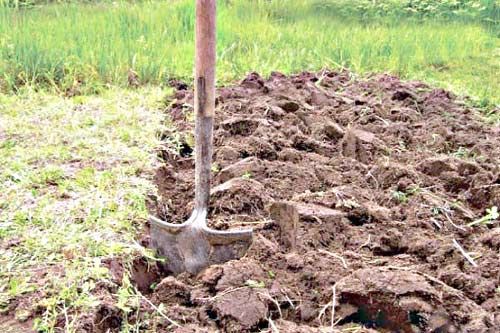 ������� ������: ������������ ����� ��� ������� ������