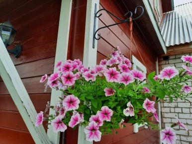 ������� ��������� ����� �� ���������� ���������