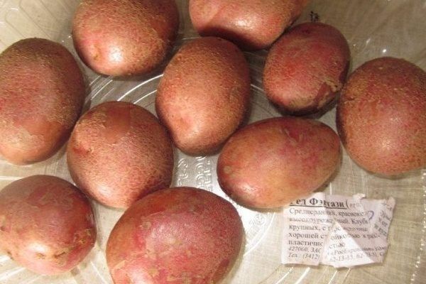 ��������� ��� �������: ������� ���, ������� ������ � ������� ������������