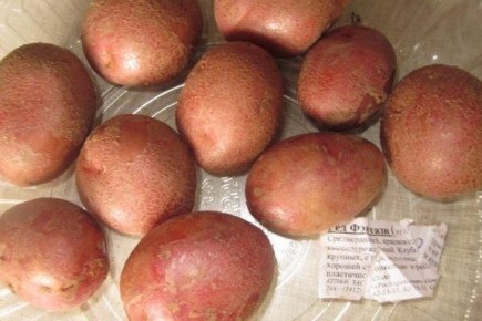 ��������� ��� �������: ������� ���, ������� ������ � ������� ������������