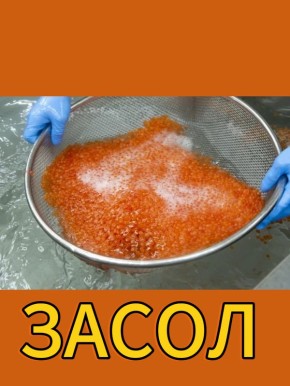 ������� ����: ������� � ������� ��������