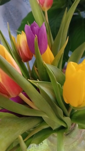 ����� ������� ����� �� ����� ��������, ����� ����� ������� �����?