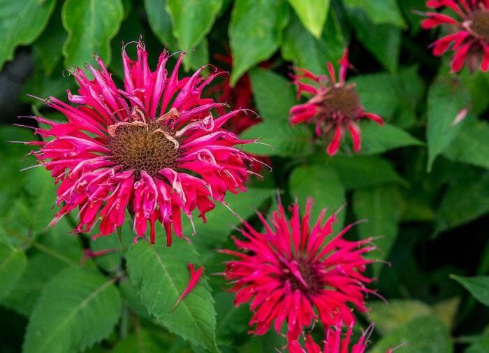 ������: �� ������ ��������� ��� ���������, �� � ���� � �������� ��������