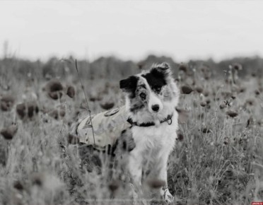 ����� ���������� ������� � ������ �����-���������� ����� � �����