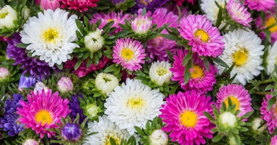 ������� �������: ������� ����� ������� �� �������