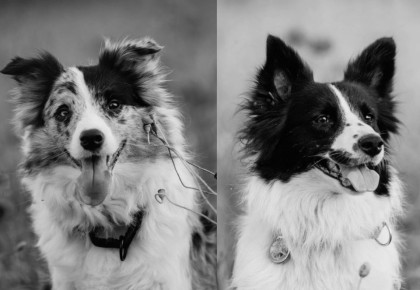 �������� � ��������� �������: ������� ����� ��������������� ������ ���������� � ����� � �����